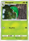 Metapod comune - Punto Genetico Apice (A1) #6