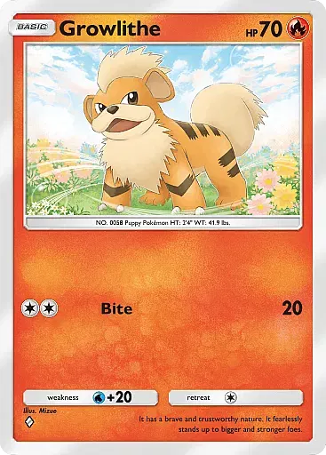 Growlithe comune - Punto Genetico Apice (A1) #39